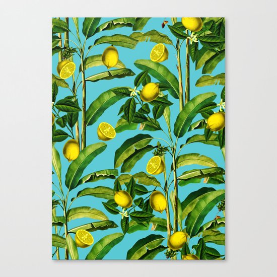 Lemon and Leaf II Canvas Print