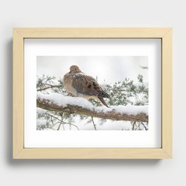 Christmas Snow Dove Recessed Framed Print