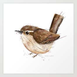Carolina Wren Bird Illustration  Art Print
