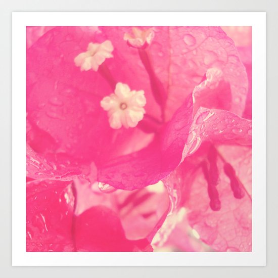 Pink Art Print