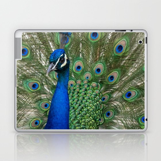 Peacock Spreads Its Feathers Laptop & iPad Skin