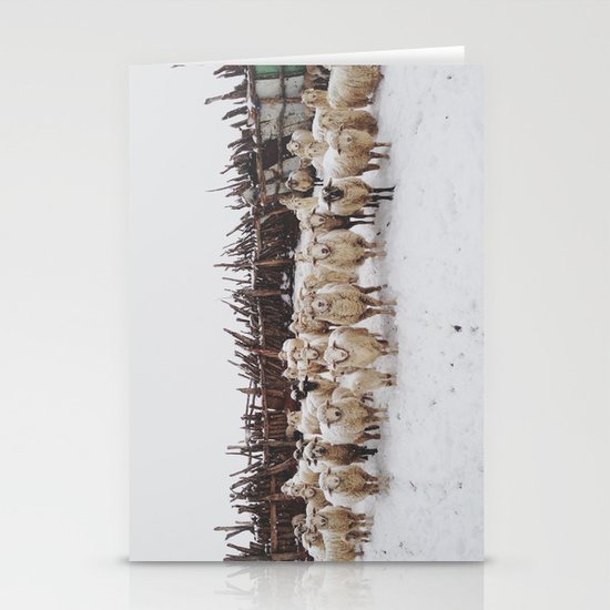 Snowy Sheep Stare Stationery Cards