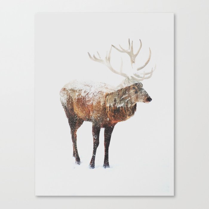 Arctic Deer Canvas Print