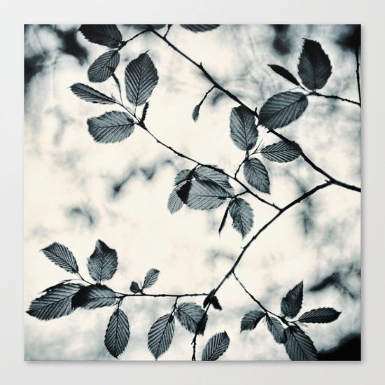 leaves Canvas Print
