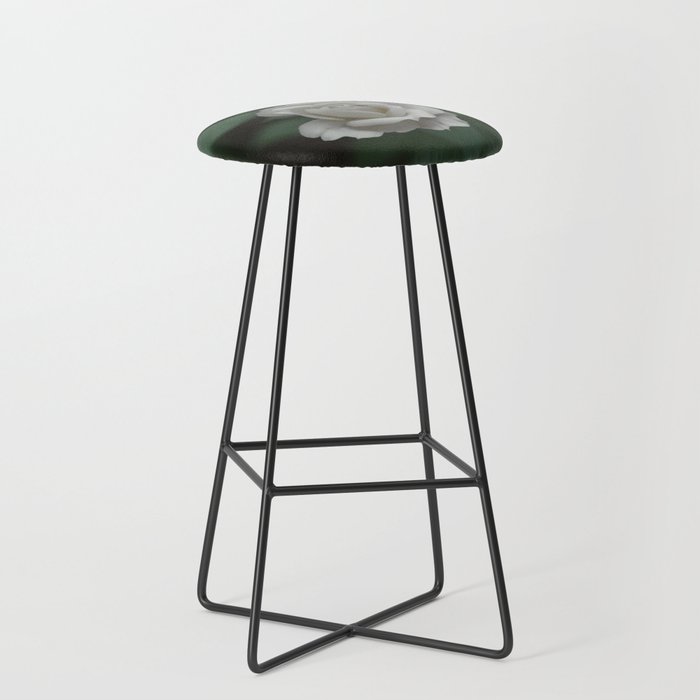 FLOWER • Rose Photography #42 • White & Green Bar Stool