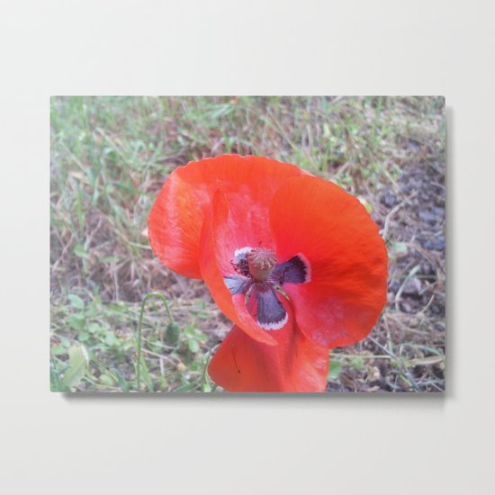 Moon in its full bloom/ Moon in seiner vollen Blüte Metal Print
