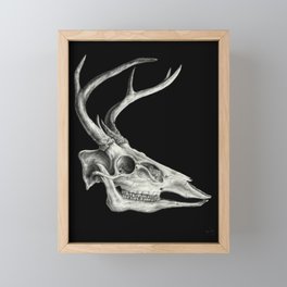 Deer Skull Framed Mini Art Print