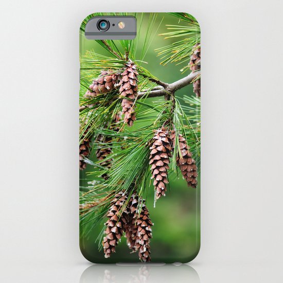 Pine cones iPhone & iPod Case