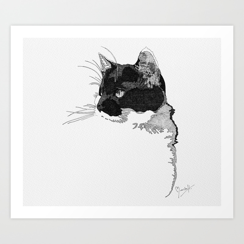 Black And White Cat In Pen And Ink Art Print By Martaharveyart
