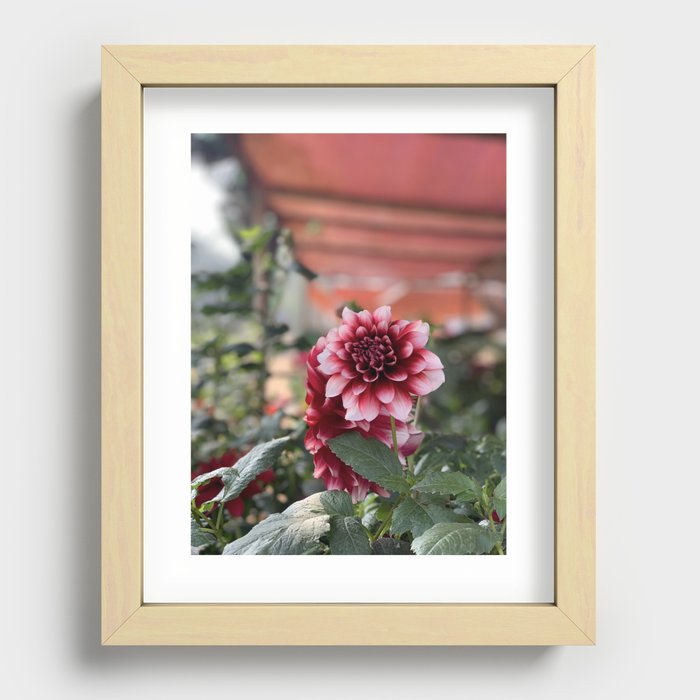 Vietnamese Flower Marts Recessed Framed Print