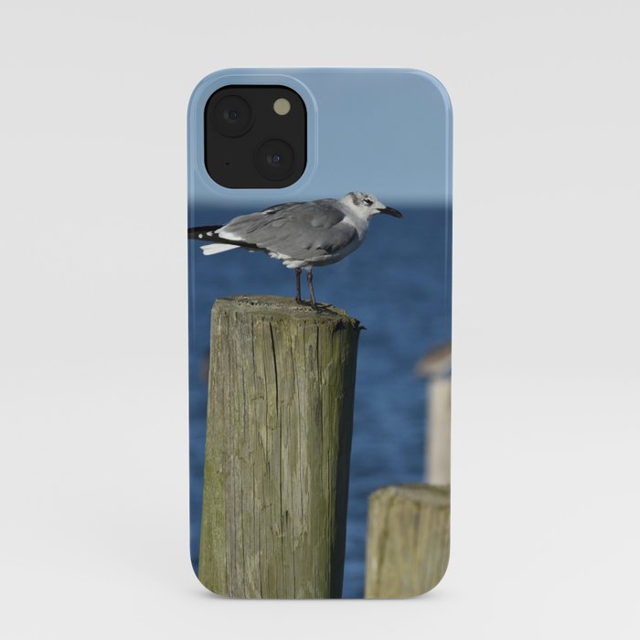 Seagull Pier iPhone Case