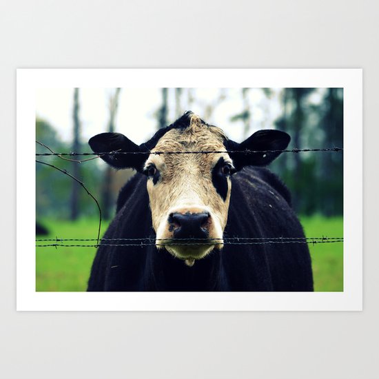 Moo Cow I Art Print