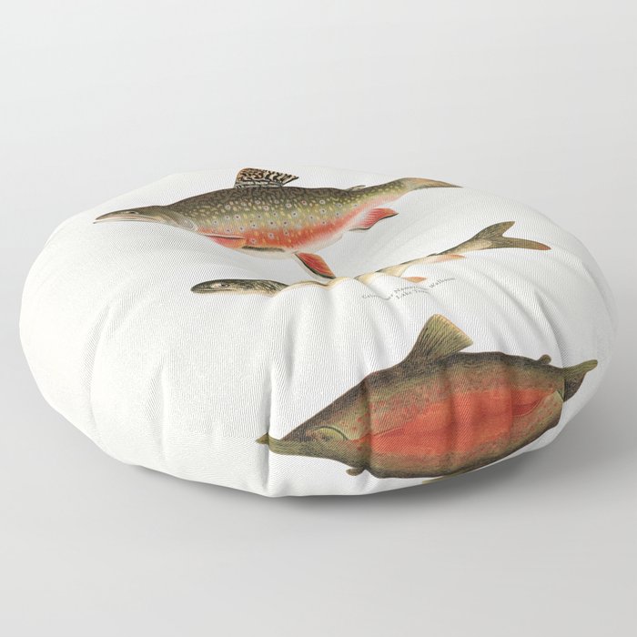 Illustrated North American Freshwater Trout Game Fish Identification Chart Floor Pillow