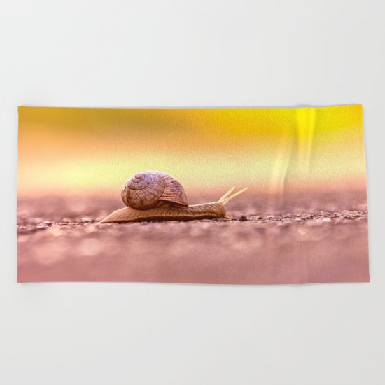 Snail shell Design Beach Towel