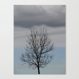 Bald tree carrying a dark cloud Canvas Print