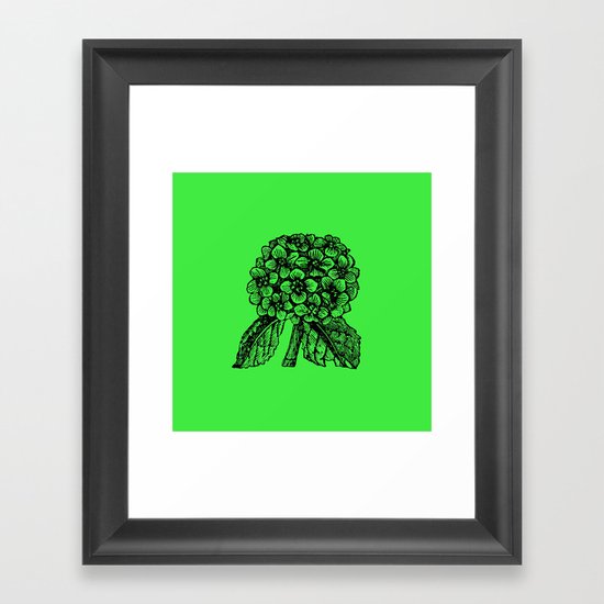 Green Hydrangea Framed Art Print