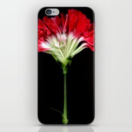 Red Carnation iPhone Skin