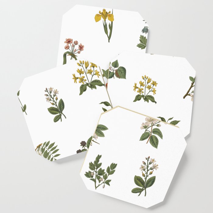 Botanical Pattern Coaster