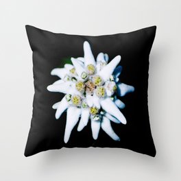 Edelweiss bloom Throw Pillow