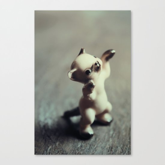 Kitten Canvas Print