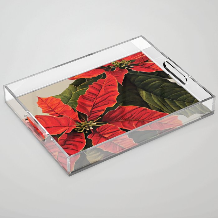 Poinsettia Plant - Christmas Flower Acrylic Tray