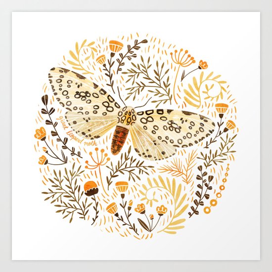 Giant Leopard Moth Art Print