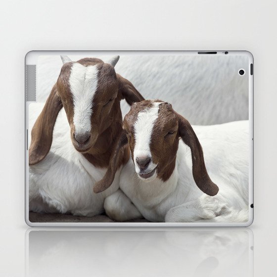 Two Young Boer Goats Resting  Laptop & iPad Skin