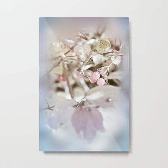 WINTER BERRIES Metal Print