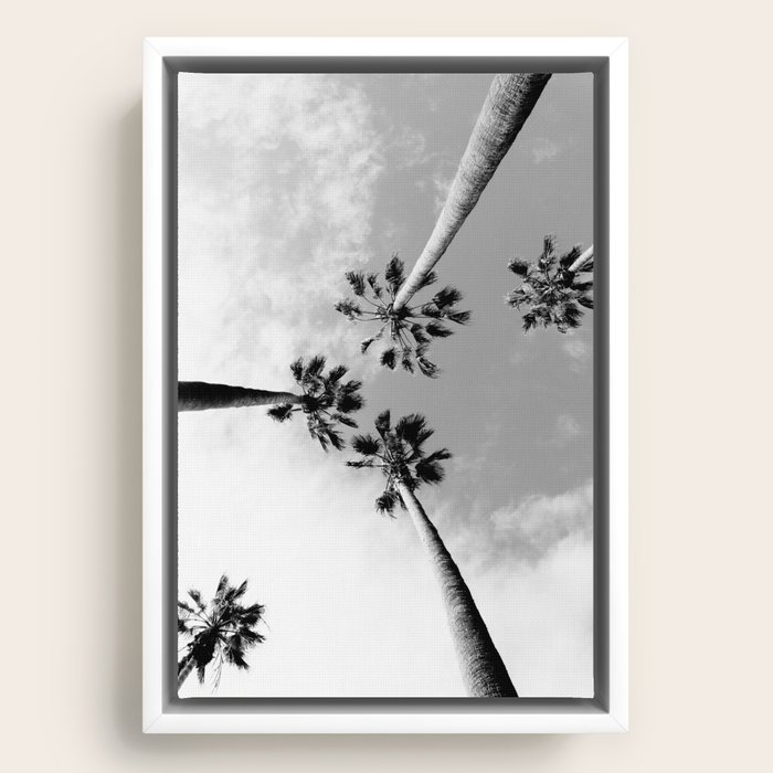 Framed Canvas