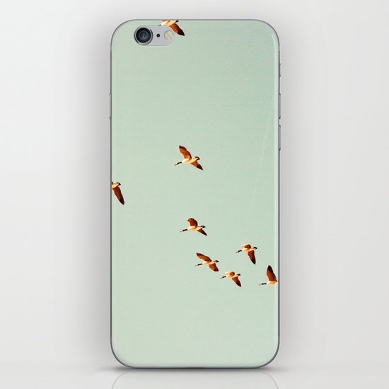 Birds iPhone & iPod Skin