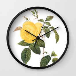 Botanical Print, Yellow Roses, Rosa Sulfurea Wall Clock | Illustration, Yellowroses, Rosasulfurea, Redoute, Other, Drawing, Botanicalprint 