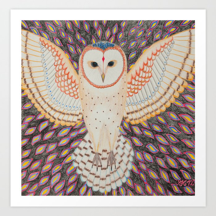 barn owl art