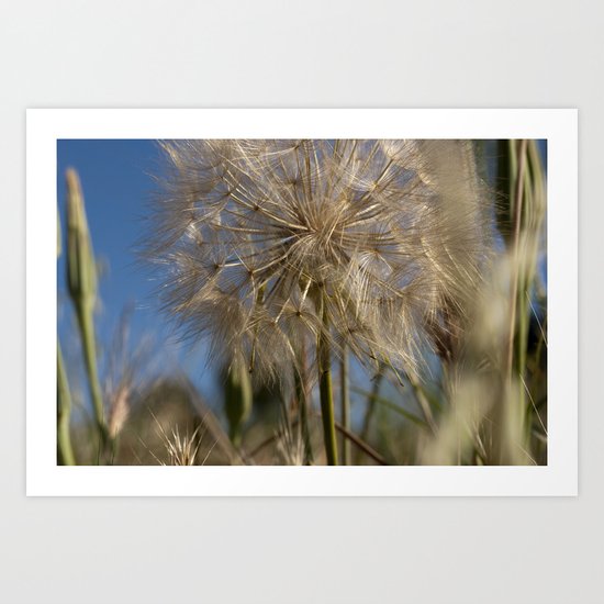 SPANISH SPRING II Art Print