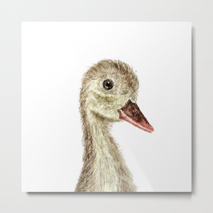 smiling little duck Metal Print
