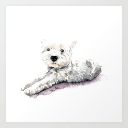 West highland white terrier - lying down Art Print