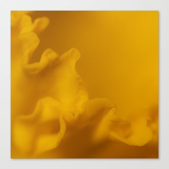 Frilly yellow Canvas Print