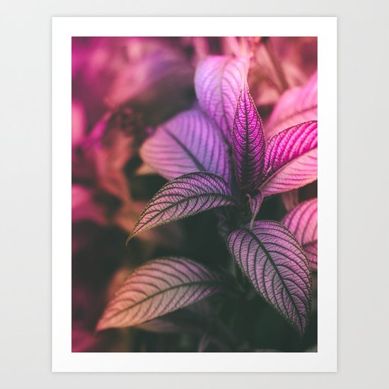 Violet Ladder Art Print