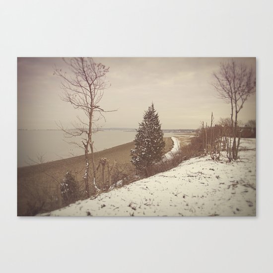 Evergreen Canvas Print