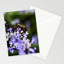 Bee on lavander Stationery Cards