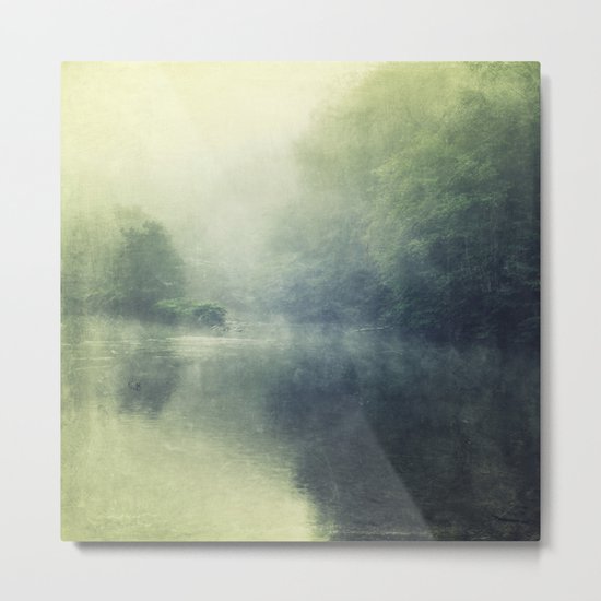 quietude Metal Print