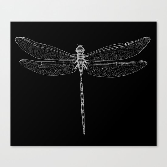 Night Flyer Canvas Print
