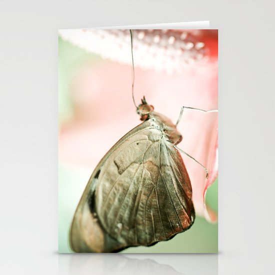 A Quiet Lullabye Stationery Cards
