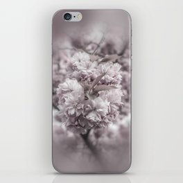 Cherry blossoms in detail iPhone Skin