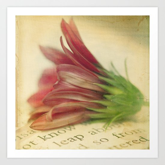 The Stories In My Mind Art Print
