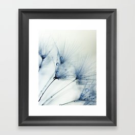 Dandelion Blue II - flower photography - nature Framed Art Print