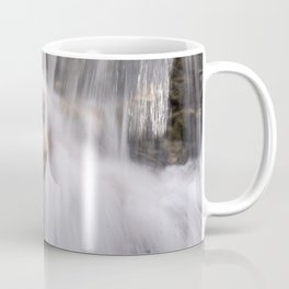 Waterfall Up Close Mug