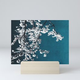 White Blossoms Tree Print - Flowers in Teal - Elegant Floral -  Japanese Nature photography Mini Art Print