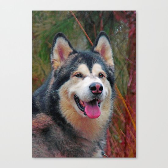 pink nose Canvas Print