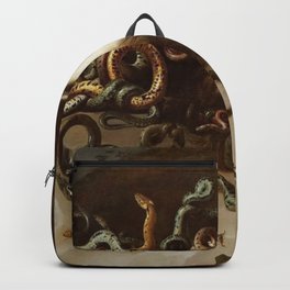 society6