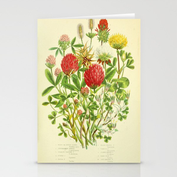 Clover by Anne Pratt, 1800s (benefitting The Nature Conservancy) Stationery Cards